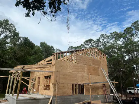Custom home roof framing in progress among mature oak trees, ladder to the top plate
